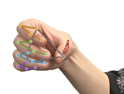 Human hand with the matched keypoints of each finger drawn over it